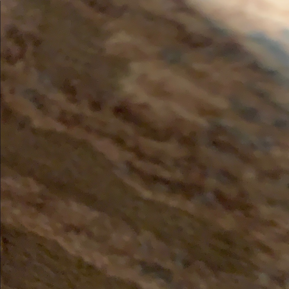 Meet your Posher, Sylvia